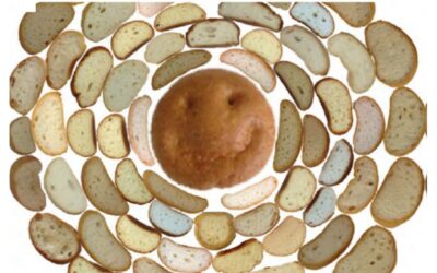 Edible Soft Matter:  How soft matter science can be applied to edible materials and guide food design and production.