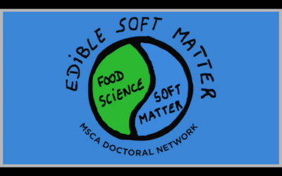 What can you say about your PhD project in just a few words? And now in your own language!